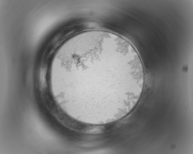 X0000110951150200907311035