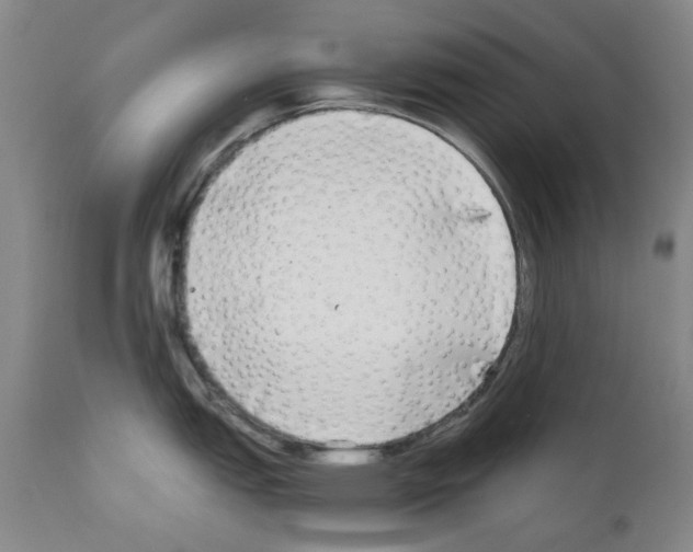 X0000110951151200907311035