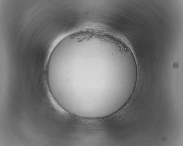 X0000110951152200907311035