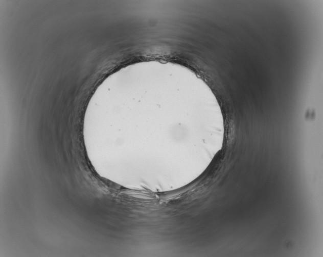 X0000110951153200907311034