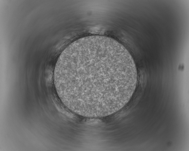 X0000110951154200907311034