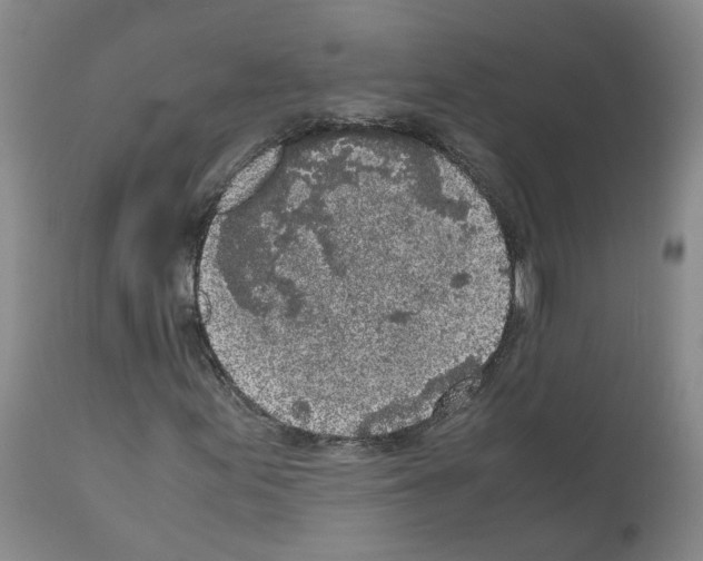 X0000110951155200907311034