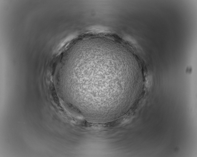 X0000110951157200907311034