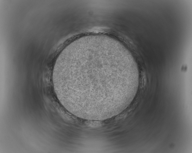 X0000110951158200907311034