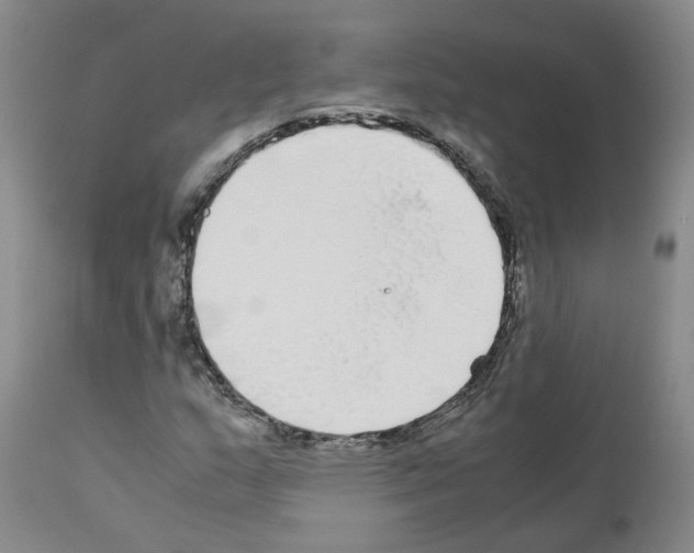 X0000110951159200907311034