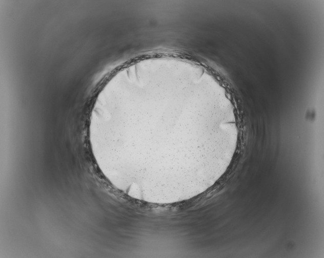 X0000110951160200907311034