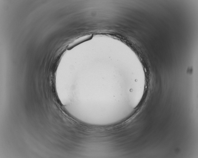 X0000110951161200907311034