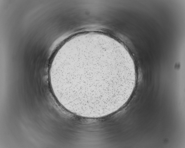 X0000110951164200907311034