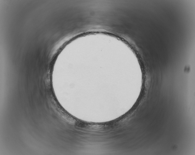 X0000110951167200907311034