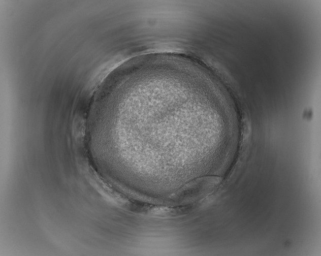 X0000110951169200907311034