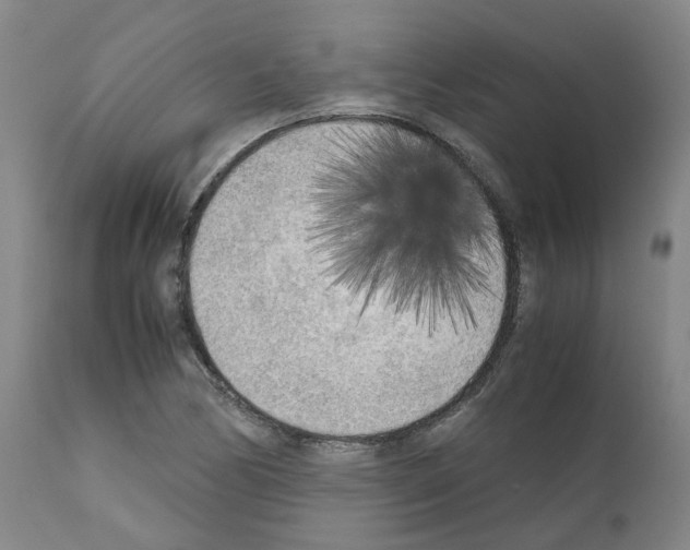 X0000110951170200907311034
