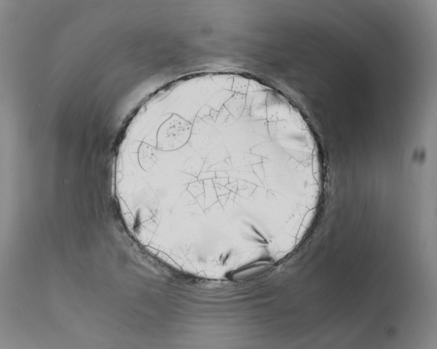 X0000110951171200907311034