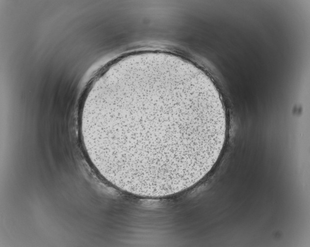 X0000110951172200907311034