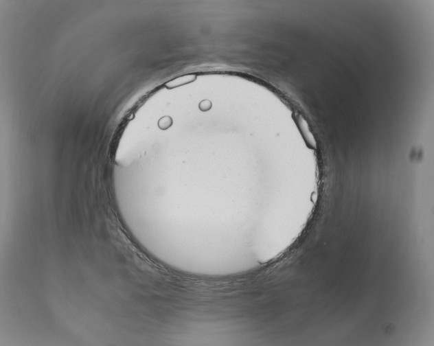 X0000110951173200907311034