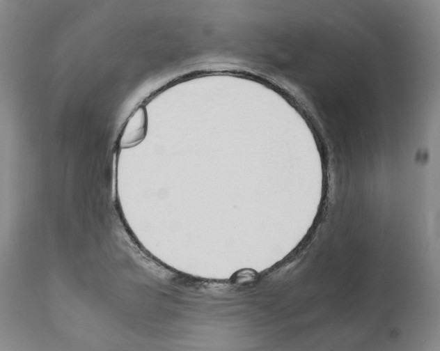 X0000110951175200907311034
