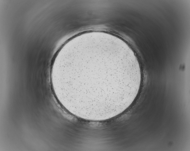 X0000110951176200907311034