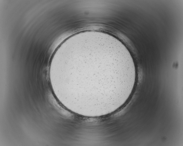 X0000110951178200907311034