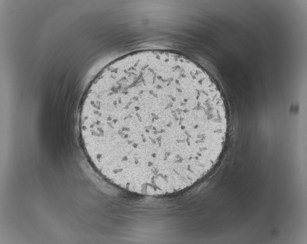 X0000110951179200907311034
