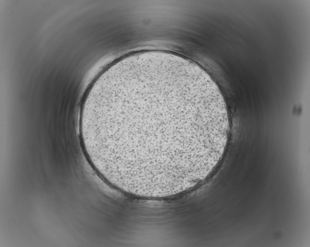 X0000110951180200907311034