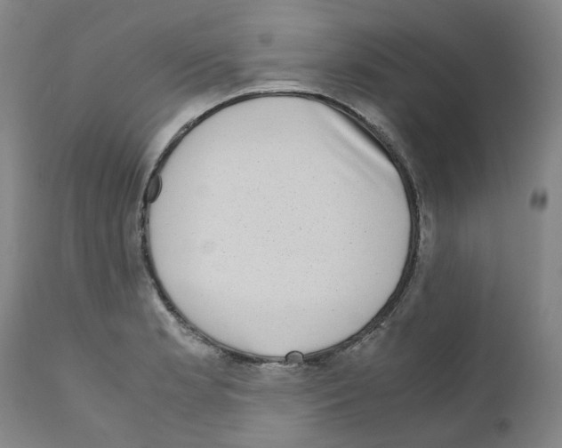 X0000110951181200907311034