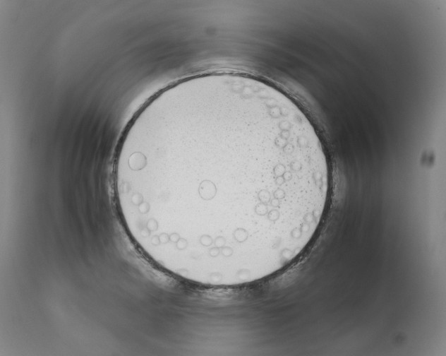 X0000110951182200907311034