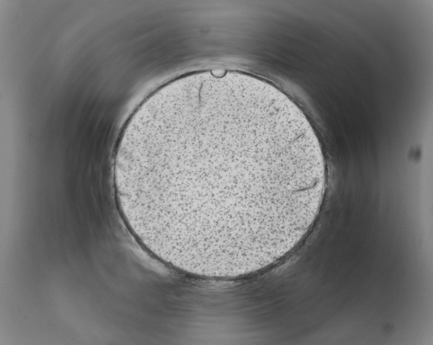 X0000110951184200907311034