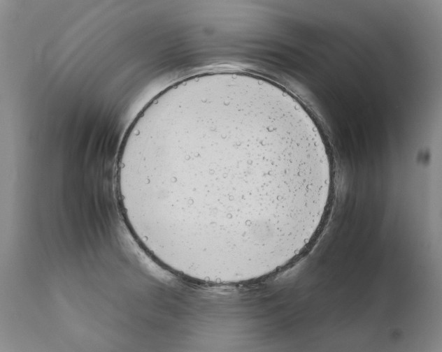 X0000110951186200907311034