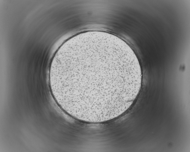 X0000110951188200907311034
