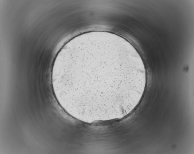 X0000110951192200907311034