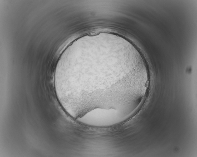 X0000110951193200907311034