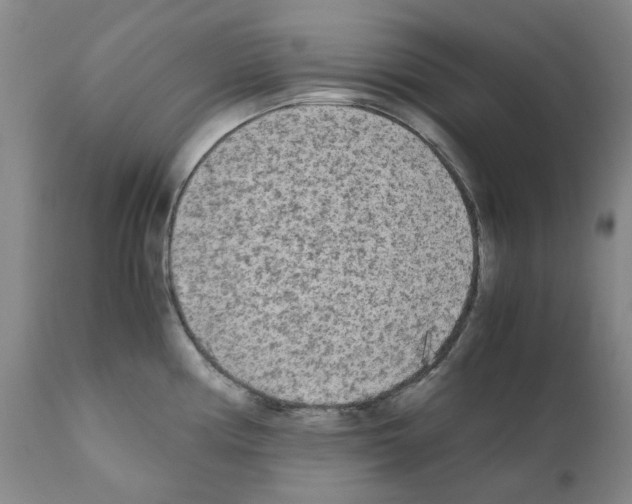 X0000110951194200907311034