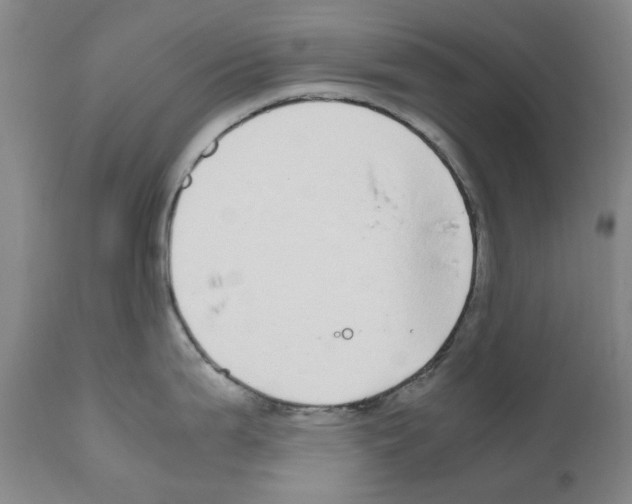 X0000110951199200907311034