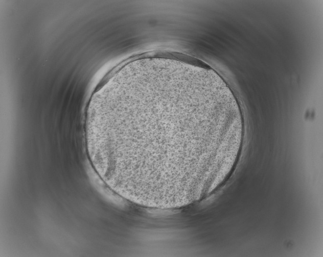 X0000110951200200907311034