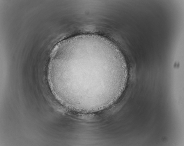 X0000110951201200907311033
