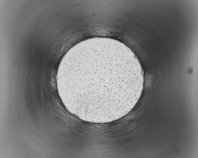 X0000110951202200907311033