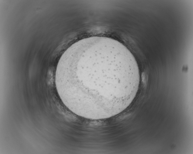 X0000110951203200907311033