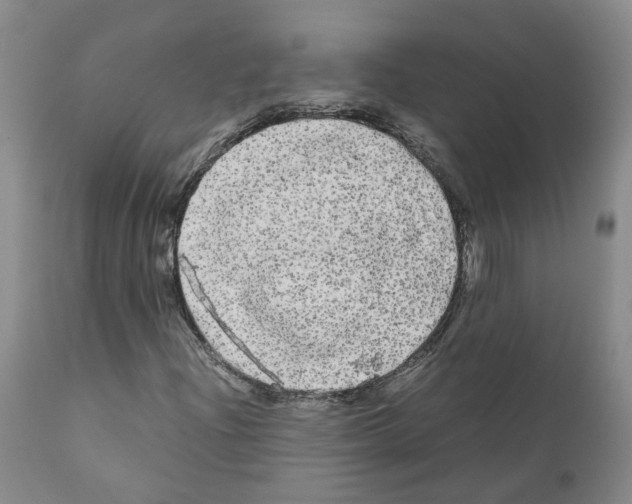 X0000110951204200907311033