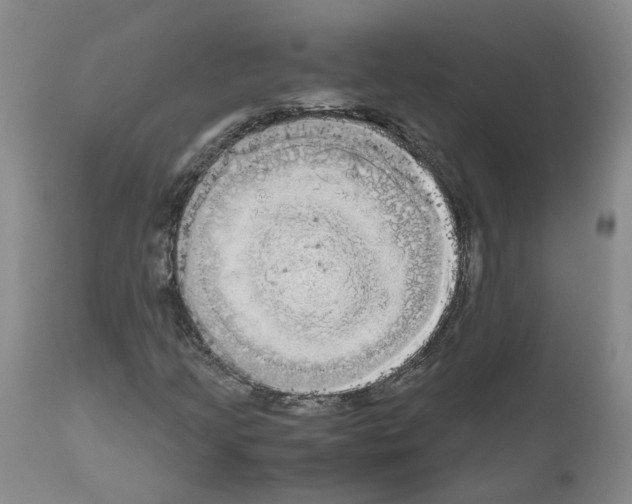 X0000110951205200907311033