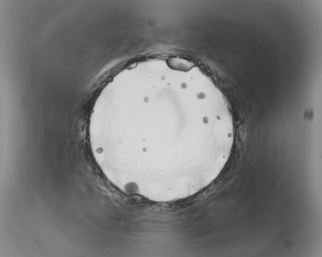 X0000110951206200907311033