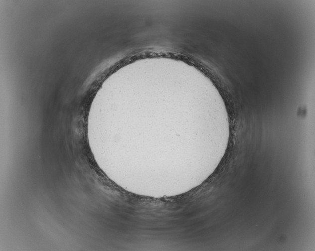 X0000110951207200907311033