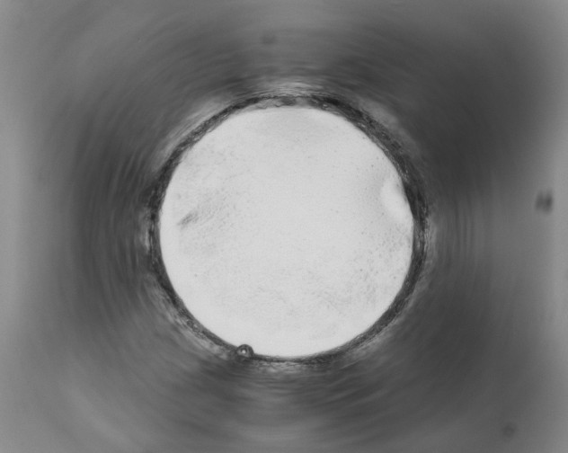 X0000110951209200907311033