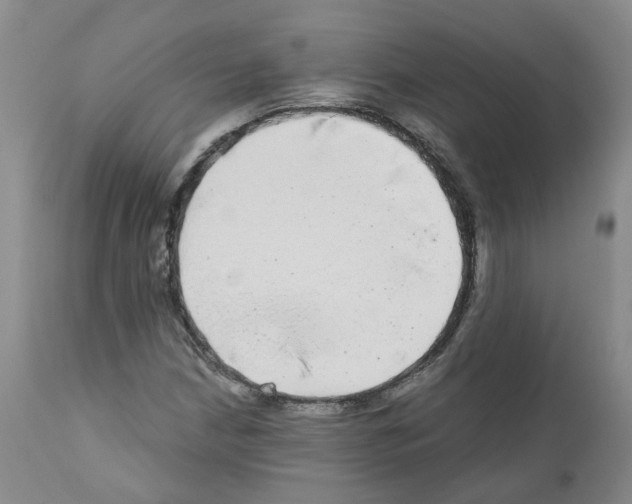 X0000110951210200907311033
