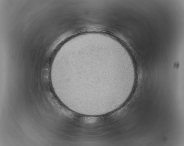 X0000110951211200907311033