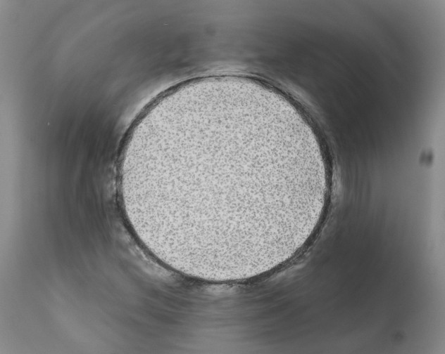 X0000110951212200907311033