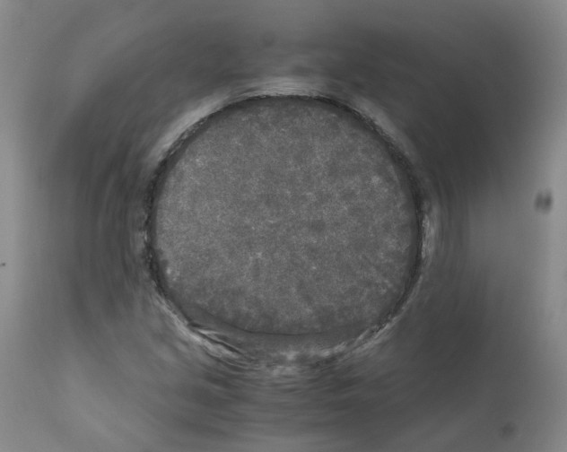 X0000110951213200907311033