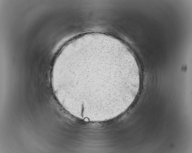 X0000110951214200907311033
