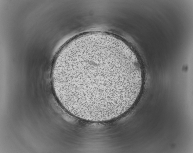 X0000110951216200907311033