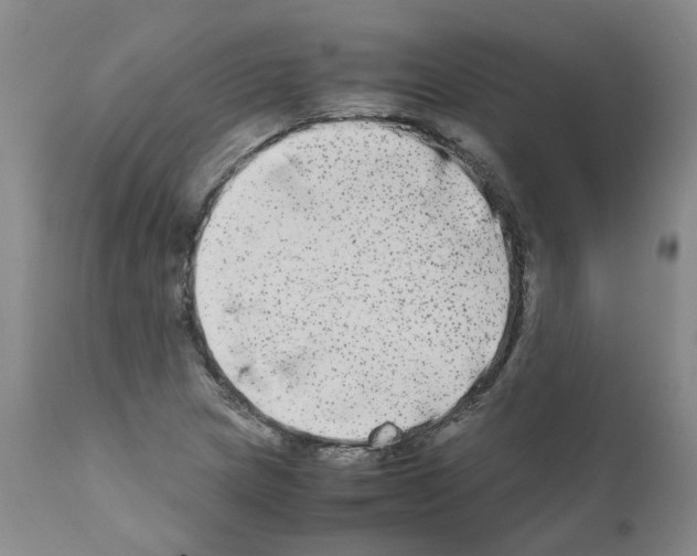 X0000110951217200907311033