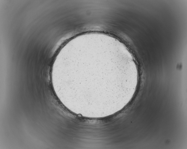 X0000110951218200907311033