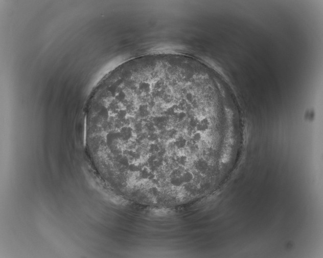 X0000110951219200907311033